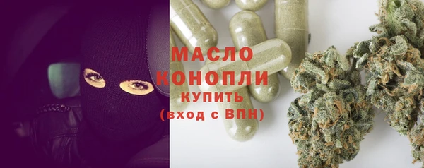 хмурый Богородицк