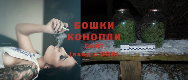 крисы Богданович