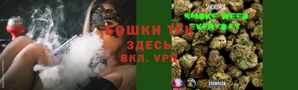 хмурый Богородицк