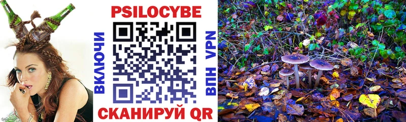 Псилоцибиновые грибы Cubensis  Наро-Фоминск 