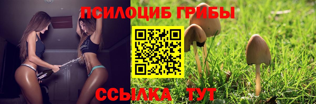 Наро-Фоминск  Псилоцибиновые грибы Magic Shrooms  Галлюциногенные грибы Magic Shrooms  Вход с VPN 